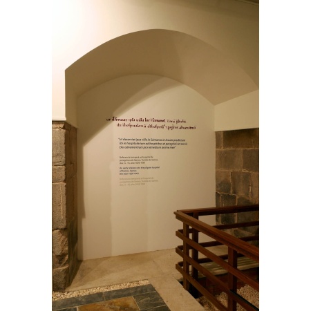 exposicion_samos_2015_-_vinilo_pared_-_2